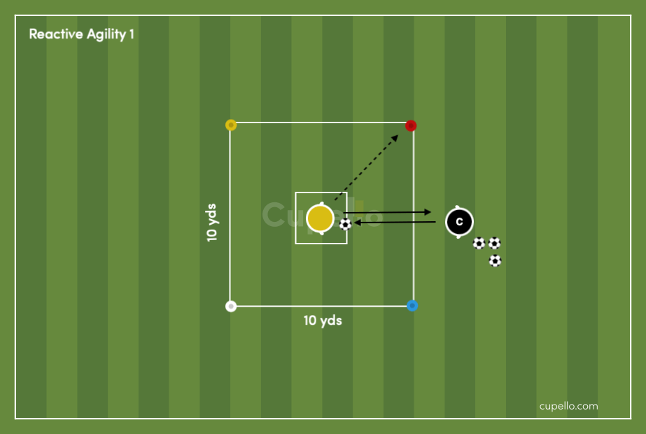 Match Reaction Agility