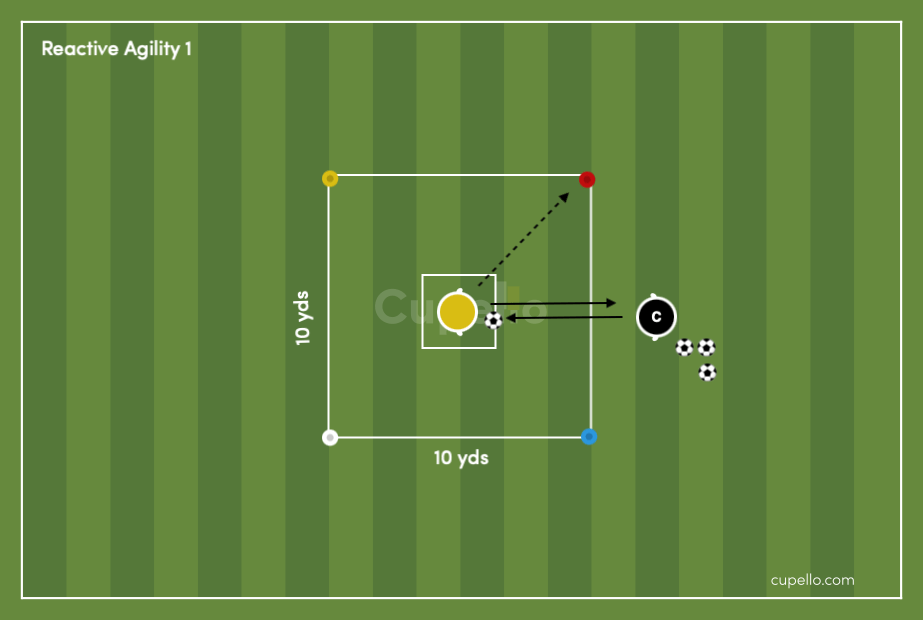 U6 Match Reaction Agility Soccer Drill